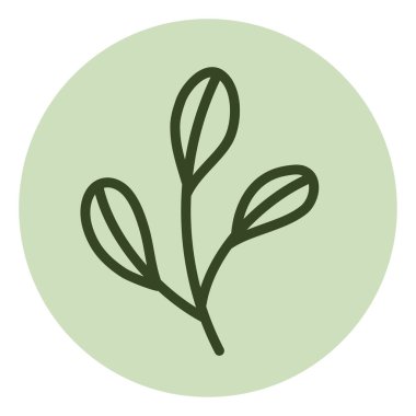 Beyaz arkaplanda üç yaprak, illüstrasyon, vektör