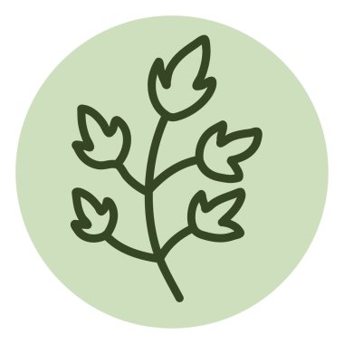 Beyaz arkaplan üzerinde biraz yaprak, illüstrasyon ve vektör olan bir dal