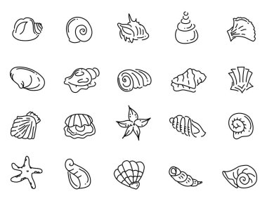 Deniz kabuğu dekoratifi, illüstrasyon, beyaz arkaplan üzerindeki vektör