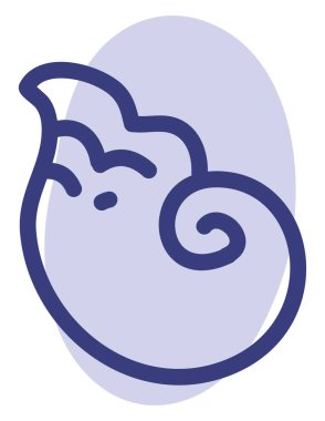 Küçük deniz kabuğu, illüstrasyon, beyaz arkaplanda vektör