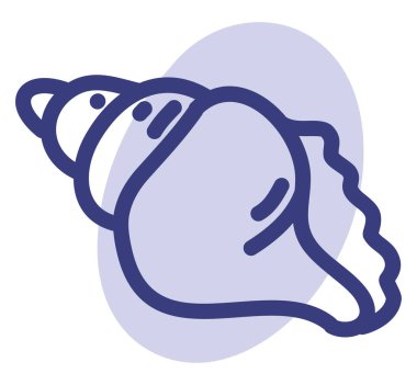 Deniz kabuğu, illüstrasyon, beyaz arkaplanda vektör