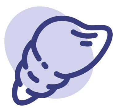 Gelişmiş deniz kabuğu, illüstrasyon, beyaz arkaplanda vektör