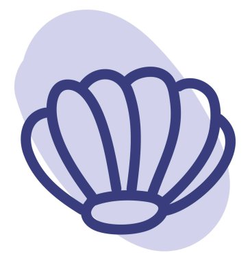 Güzel deniz kabuğu, illüstrasyon, beyaz arkaplanda vektör