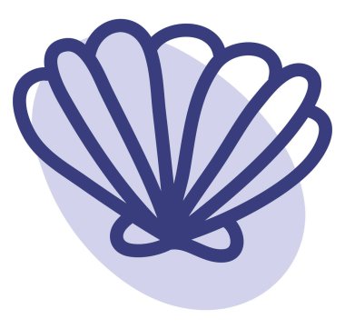 Şirin deniz kabuğu, illüstrasyon, beyaz arka planda vektör.