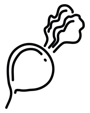 Beyaz arka planda bir pancar kökü, illüstrasyon, vektör