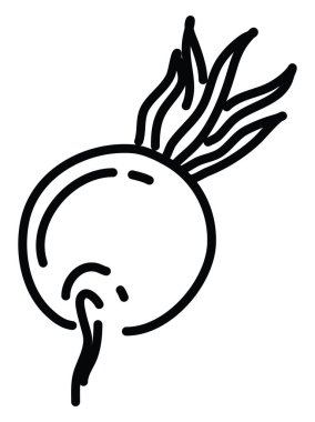 Beyaz arkaplanda bir turp, illüstrasyon, vektör