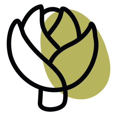 Beyaz arkaplanda yeşil enginar, illüstrasyon, vektör