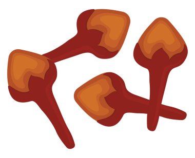 Karanfil, illüstrasyon, beyaz arkaplan üzerindeki vektör.