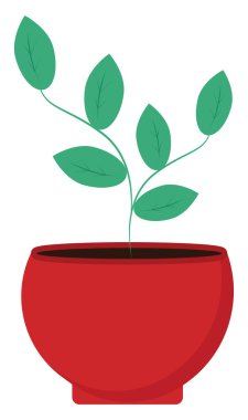 Bitki kabı, illüstrasyon, beyaz arkaplan vektörü.