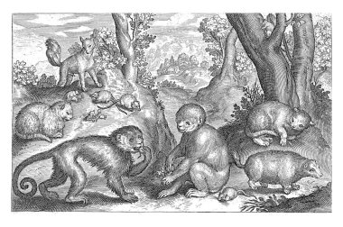 Monkeys, Cats and Mice, Nicolaes de Bruyn, 1594