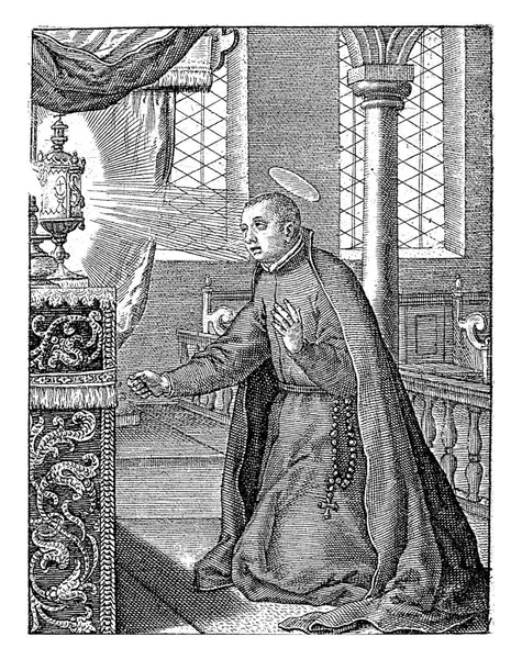 Stanislaus Kostka Polish Jesuit Canonized 1726 Saint Stanislaus Kneeling Front — Stok fotoğraf