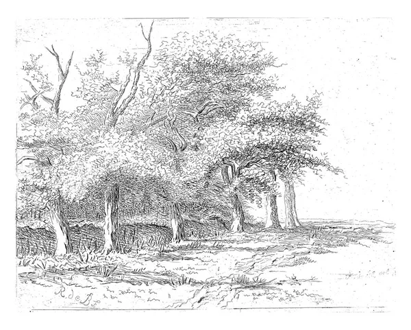 Row Trees Bank — Zdjęcie stockowe