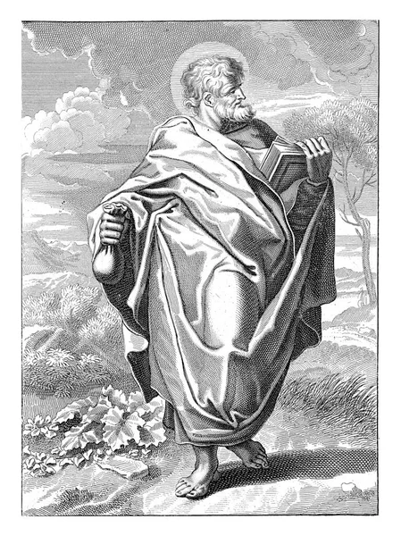 Apostle Matthew Standing Landscape Book Bag Money His Hands Image — Foto Stock