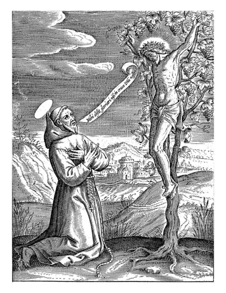 Saint Dressed Monk Habit Kneeling Christ Crucified Vine — 图库照片