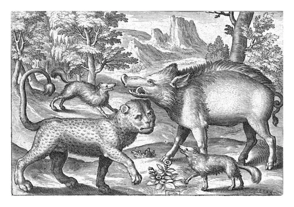 Leopard Wild Boar Two Dogs Nicolaes Bruyn 1594 — Foto Stock