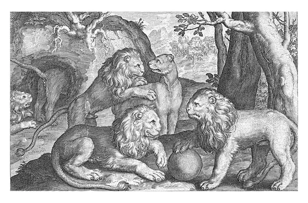Lions Nicolaes Bruyn 1594 — Fotografia de Stock