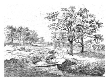 A plank bridge, a wooden beam across a stream. To the right two trees.