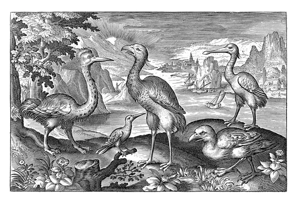 Five Birds Including Spoonbills Nicolaes Bruyn — Stockfoto