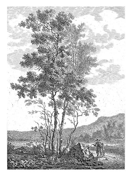 Hilly Landscape Tall Trees Two Figures Road — Φωτογραφία Αρχείου