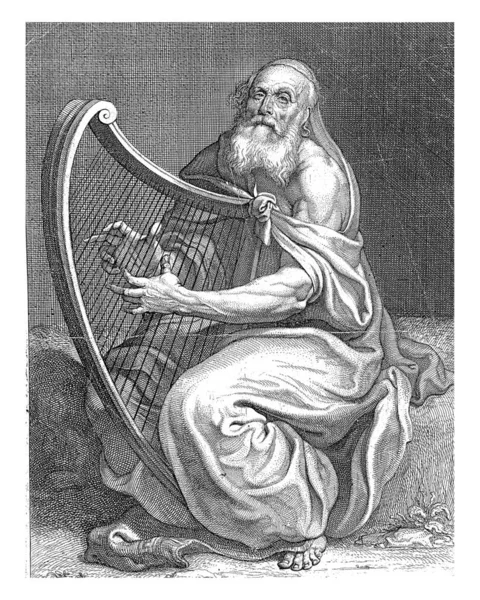 David Plays Harp Bottom Center Margin Coat Arms Louis Petit — Stockfoto