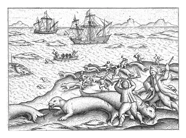 Walrus Hunt Maiden Voyage July 1594 — Stok Foto