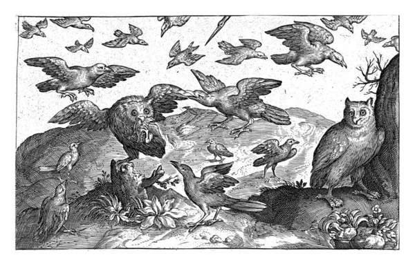 Owl Preyed Other Birds Nicolaes Bruyn — Stok fotoğraf