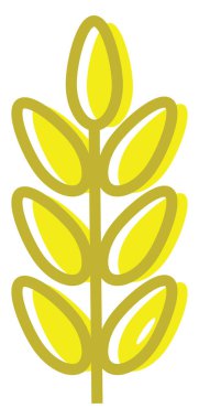 Sarı buğday, simge illüstrasyonu, beyaz arkaplanda vektör