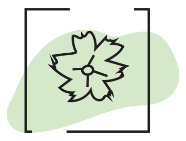 Nane yeşili minimal çiçek, simge illüstrasyonu, beyaz arkaplanda vektör