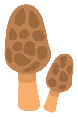 Kahverengi morel mantarı, simge illüstrasyonu, beyaz arkaplanda vektör