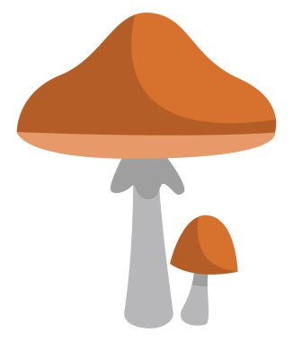 Kahverengi şemsiye mantarları, simge illüstrasyonu, beyaz arkaplanda vektör