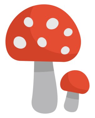 Sarı sinek agarik mantarı, simge illüstrasyonu, beyaz arkaplanda vektör