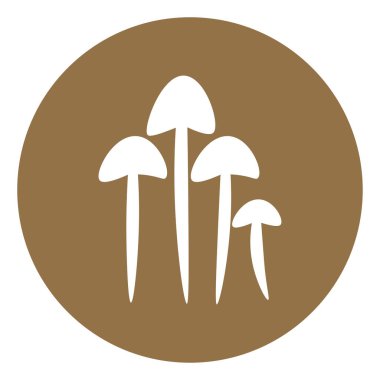 Enoki mantarları, simge illüstrasyonu, beyaz arkaplanda vektör