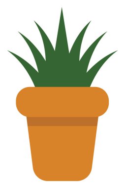 Çömlekte Aloe vera bitkisi, simge illüstrasyonu, beyaz arkaplanda vektör