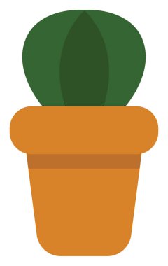 Tencerede küçük yuvarlak bir kaktüs, ikon çizimi, beyaz arka planda vektör.