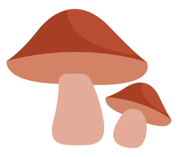 两个褐色的伞形蘑菇 图标说明 白色背景上的向量 — 图库矢量图片