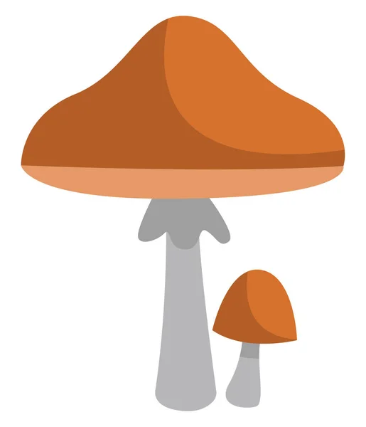 Champignons Parasol Brun Illustration Icône Vecteur Sur Fond Blanc — Image vectorielle