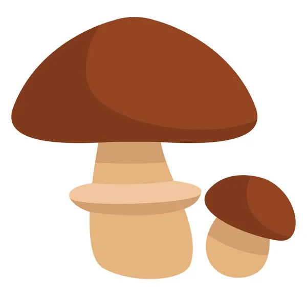 Champignon Suillus Brun Illustration Icône Vecteur Sur Fond Blanc — Image vectorielle