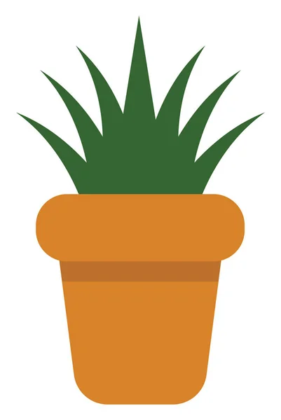 Aloe Vera Planta Pote Ícone Ilustração Vetor Sobre Fundo Branco — Vetor de Stock