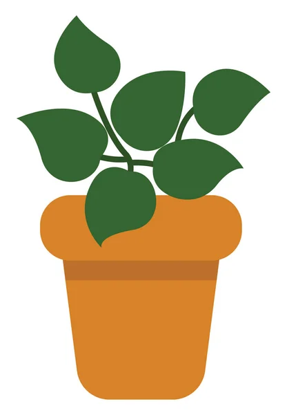 Begonia Planta Pote Icono Ilustración Vector Sobre Fondo Blanco — Vector de stock