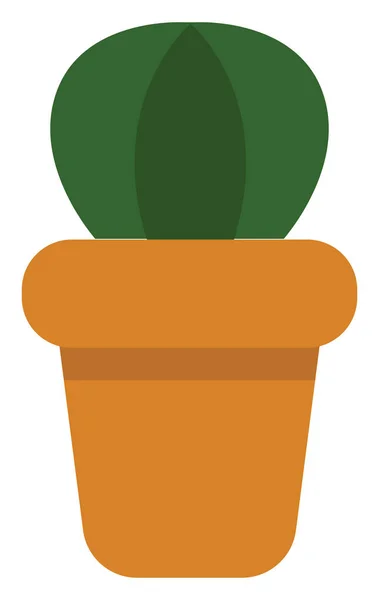 Pequeño Cactus Redondo Pote Ilustración Icono Vector Sobre Fondo Blanco — Vector de stock