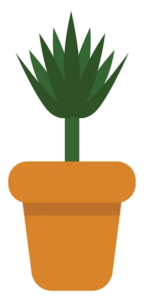 Dracaena Növény Egy Edényben Ikon Illusztráció Vektor Fehér Háttér — Stock Vector