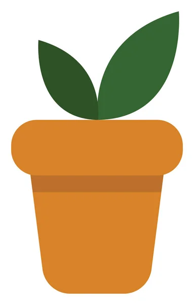 Plant Met Twee Grote Bladeren Icoon Illustratie Vector Witte Achtergrond — Stockvector