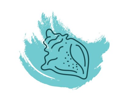 Atlantik incir salyangozu deniz kabuğu, simge illüstrasyonu, beyaz arkaplan üzerindeki vektör