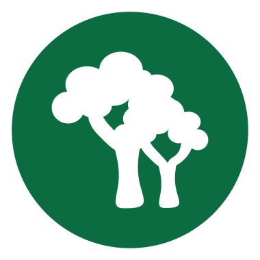 Ejderha ağacı, simge illüstrasyonu, beyaz arkaplanda vektör