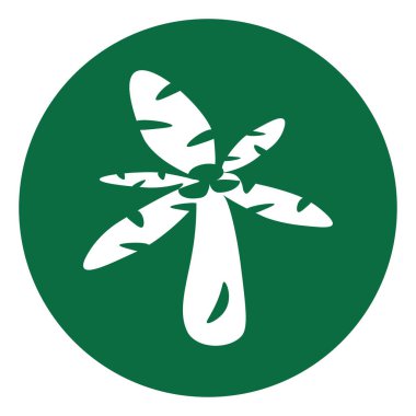 Areca palmiyesi, simge illüstrasyonu, beyaz arkaplan üzerindeki vektör