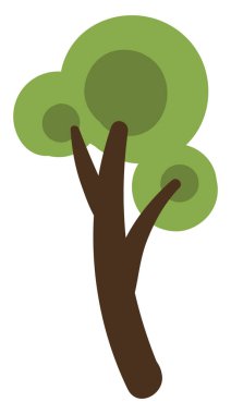 İngiliz ceviz ağacı, simge illüstrasyonu, beyaz arkaplanda vektör