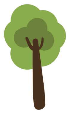 Bataklık İspanyol meşe ağacı, ikon illüstrasyonu, beyaz arkaplanda vektör