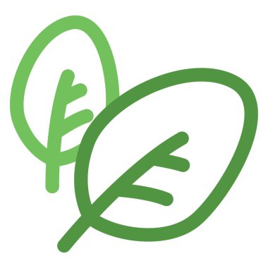 Yeşil ıspanak, simge illüstrasyonu, beyaz arkaplanda vektör