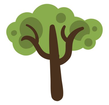 Köri ağacı, simge illüstrasyonu, beyaz arkaplanda vektör