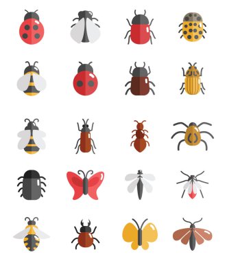 Böcek türleri, simge illüstrasyonu, beyaz arkaplan üzerindeki vektör